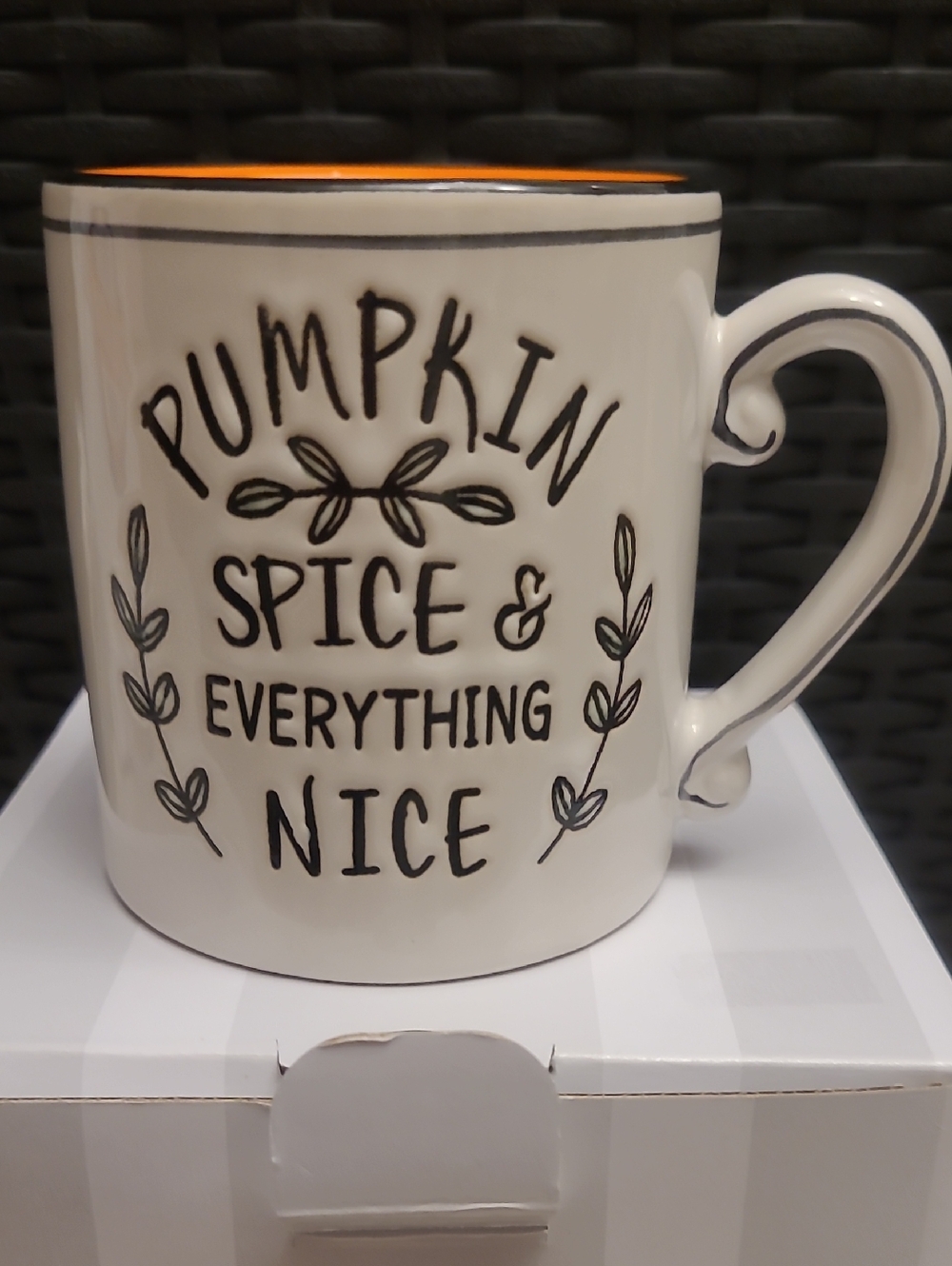 Pumpkin Spice & Everything Nice Ceramic Mug Mini WAX WARMER New In Box